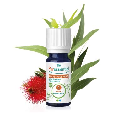 huile-essentielle-bio-eucalyptus-radie-prsd52-hebe14