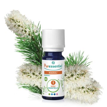 huile-essentielle-bio-niaouli-prsd52-hebe22